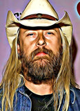 Alt Metal Series #5 - Jerry Cantrell