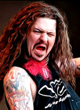 Heavy Metal Series #22 - Dimebag Darrell (sticker)